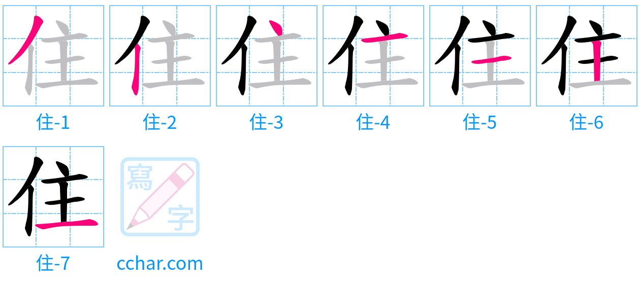 住 stroke order step-by-step diagram