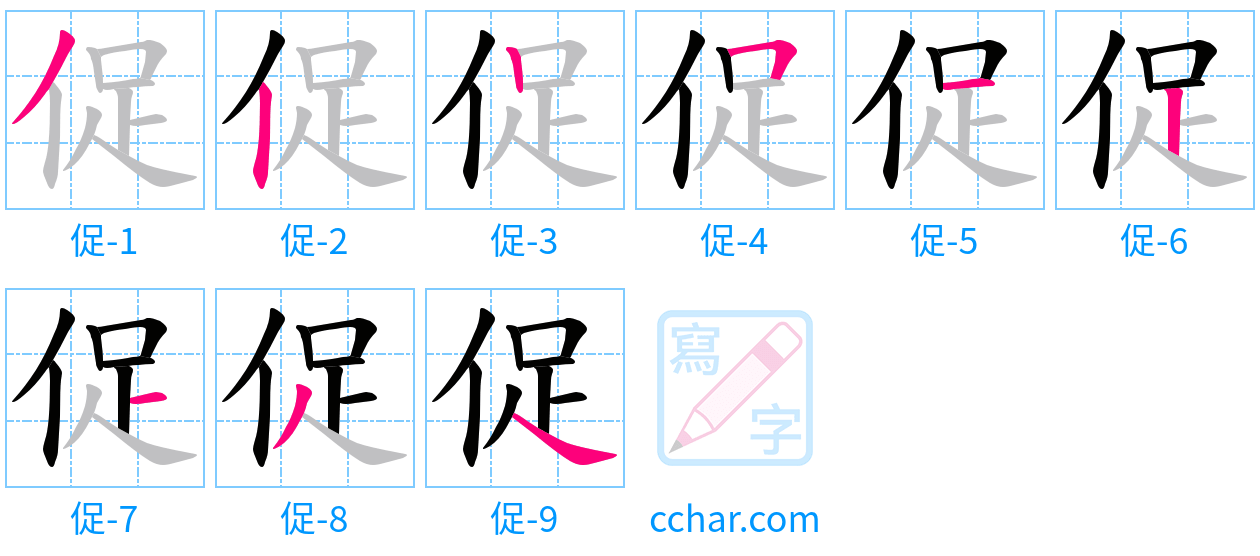 促 stroke order step-by-step diagram