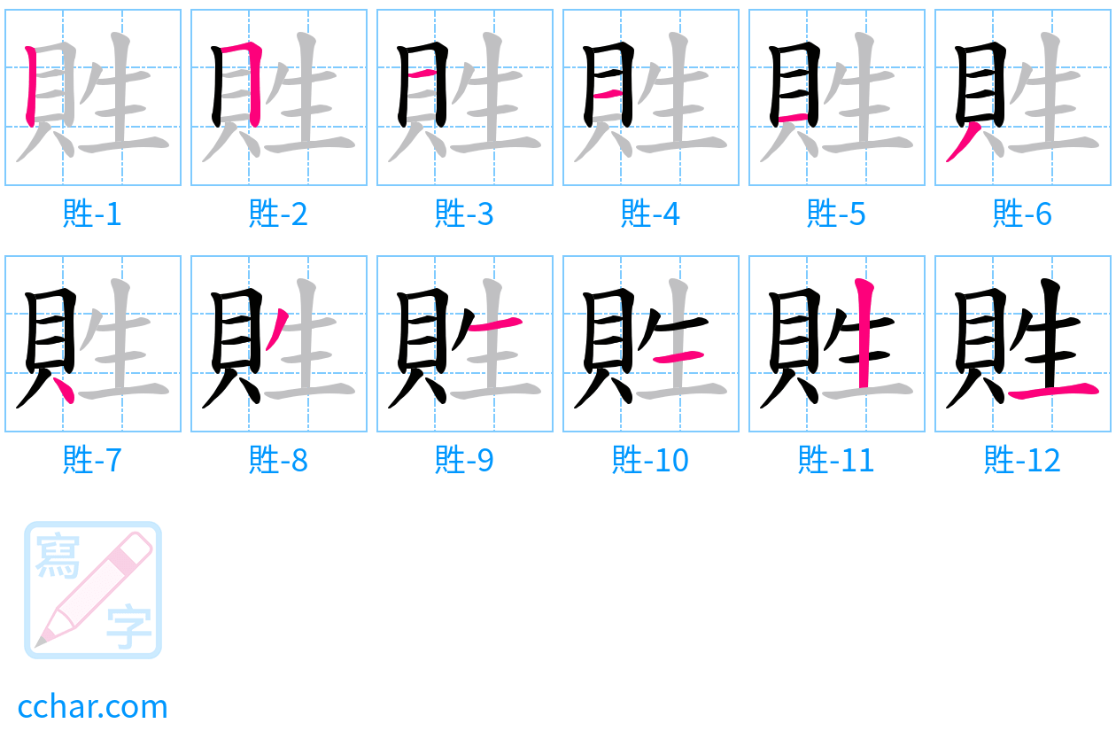 貹 stroke order step-by-step diagram