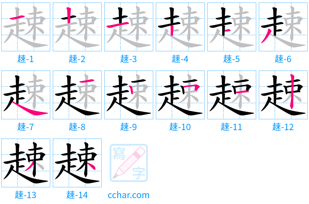 趚 stroke order step-by-step diagram
